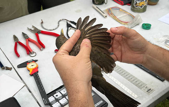 Add Image Description