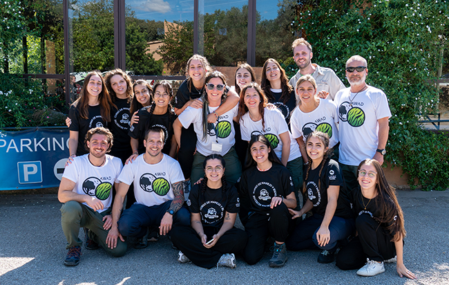 Add Image Description