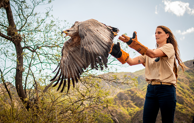 Add Image Description