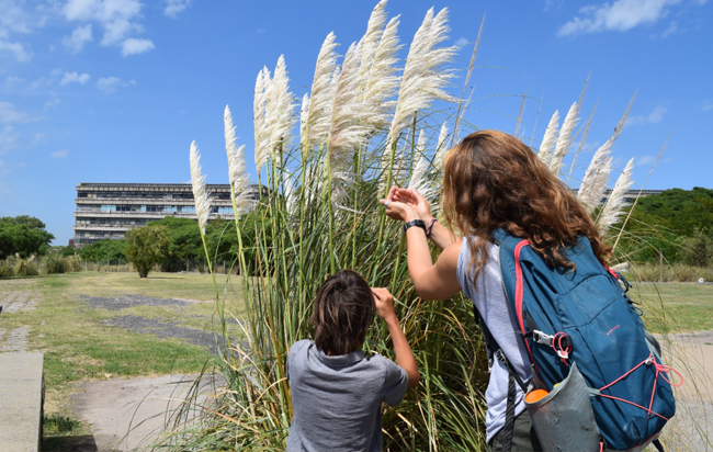 Add Image Description