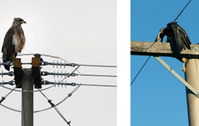 Add Image Description