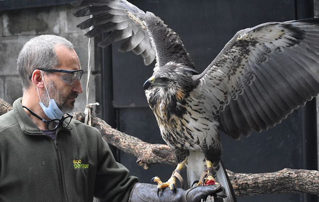 Add Image Description